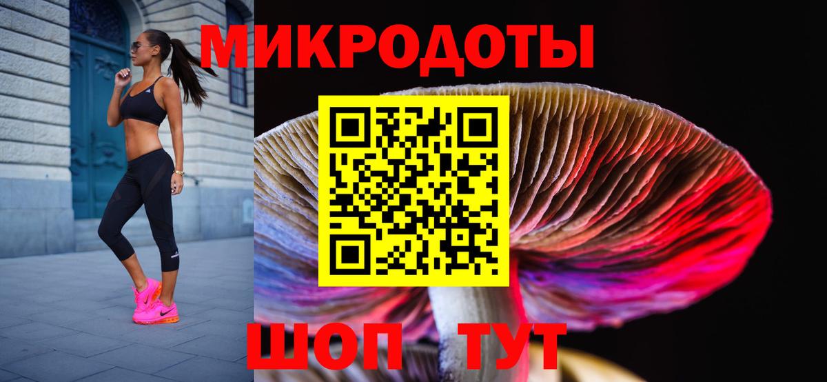 Псилоцибиновые грибы GOLDEN TEACHER Камышин