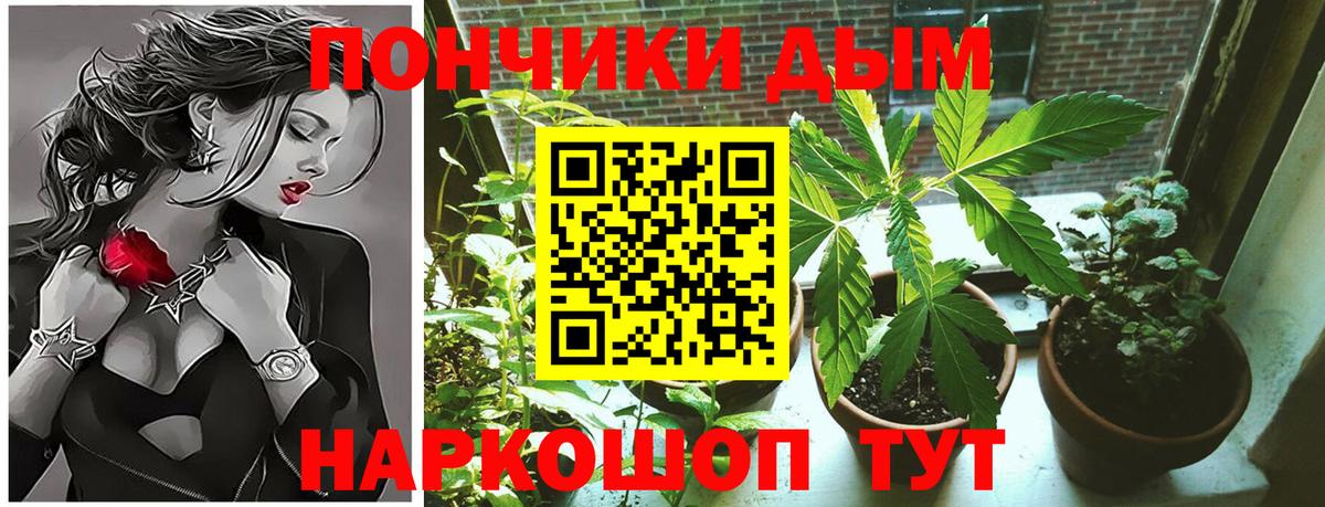 Марихуана OG Kush  МАРИХУАНА OG Kush  Бошки Шишки планчик  Камышин  Вход с VPN 